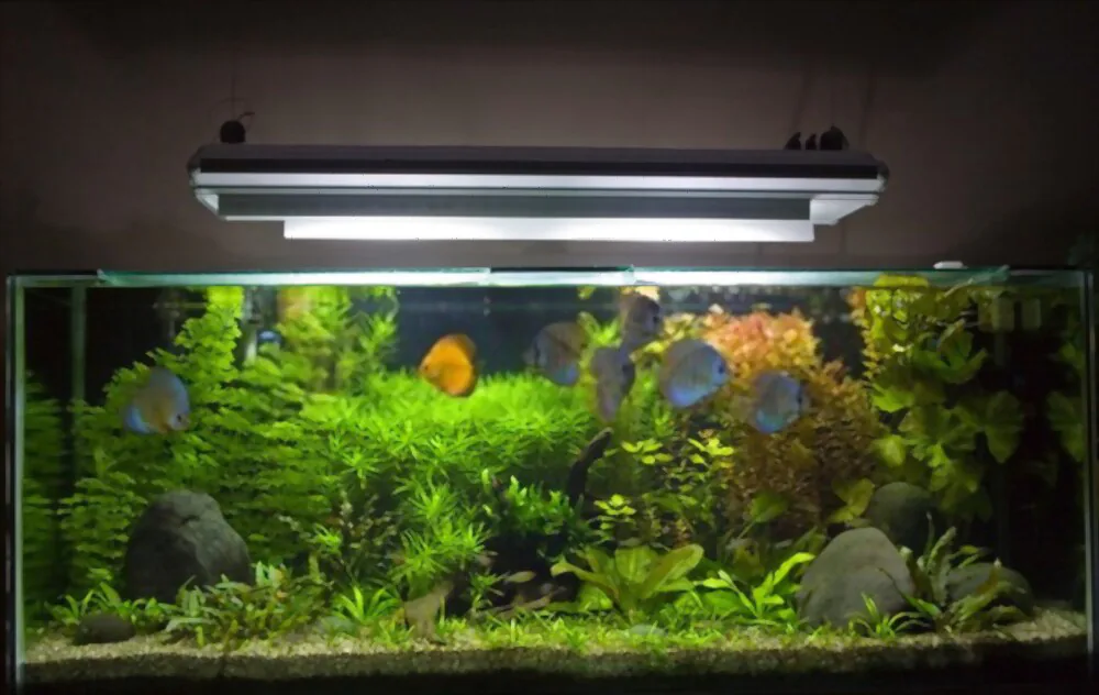 aquarium lighting system