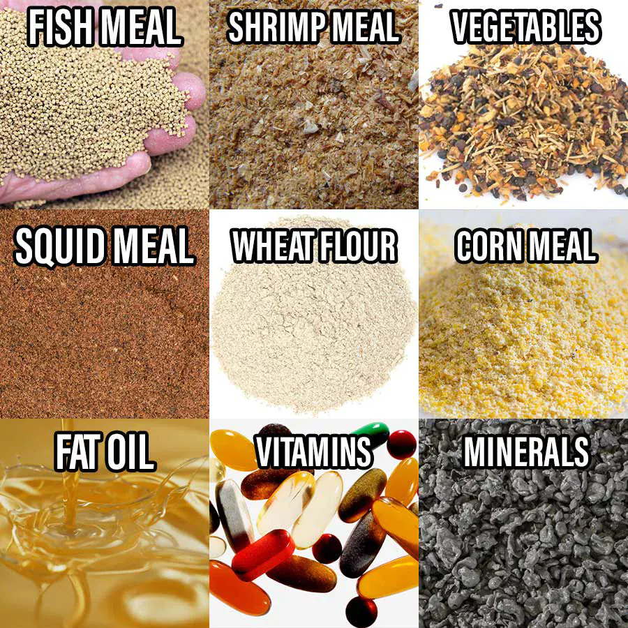what is fish food made of fish food ingredients