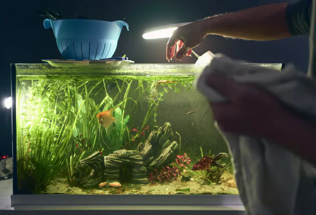 fish tank artificial light