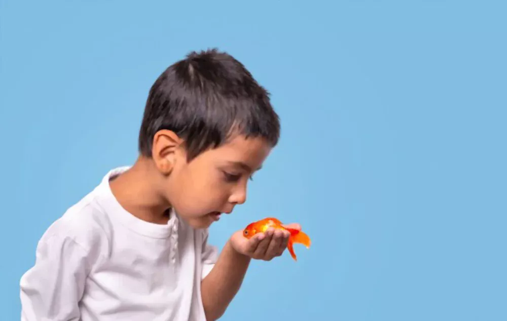 goldfish in hand