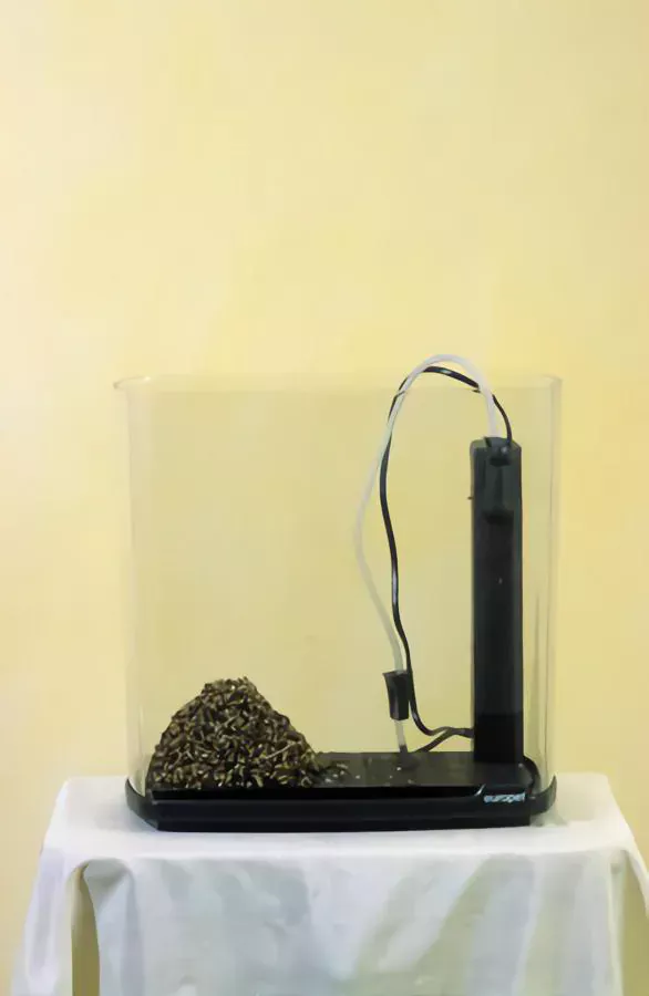 external aquarium heater