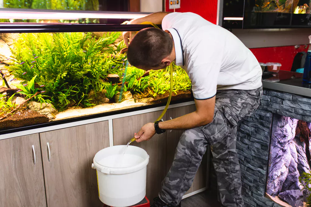 how to keep fish tank clean without changing water