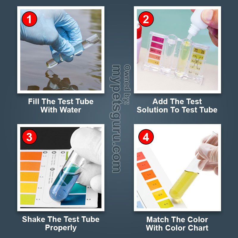 step by step process of using water testing kit to test water