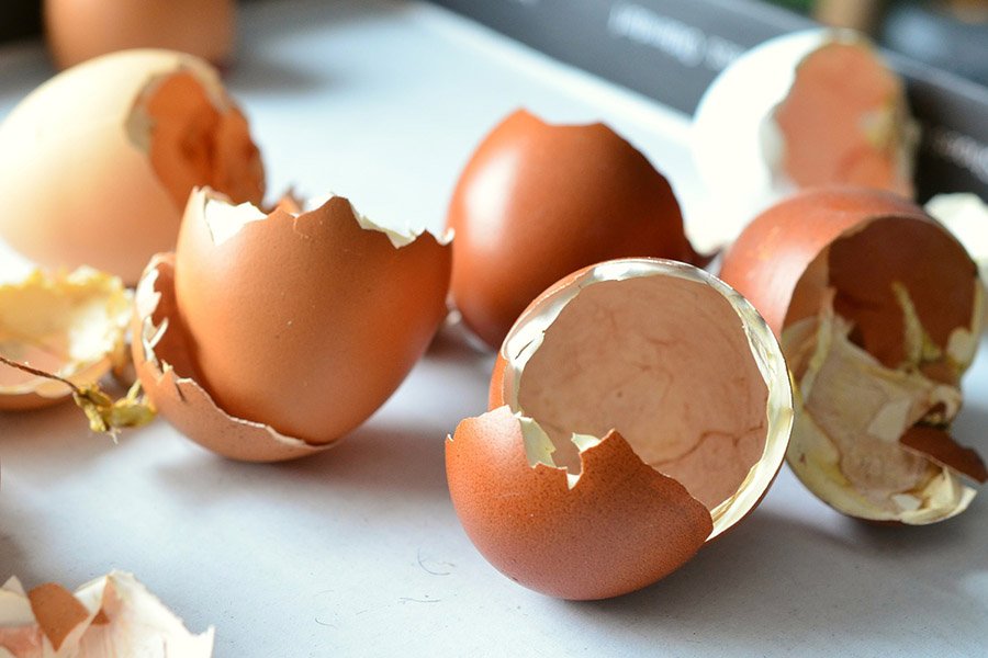 Egg shells