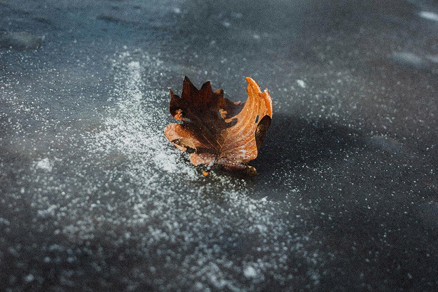 frozen pond water